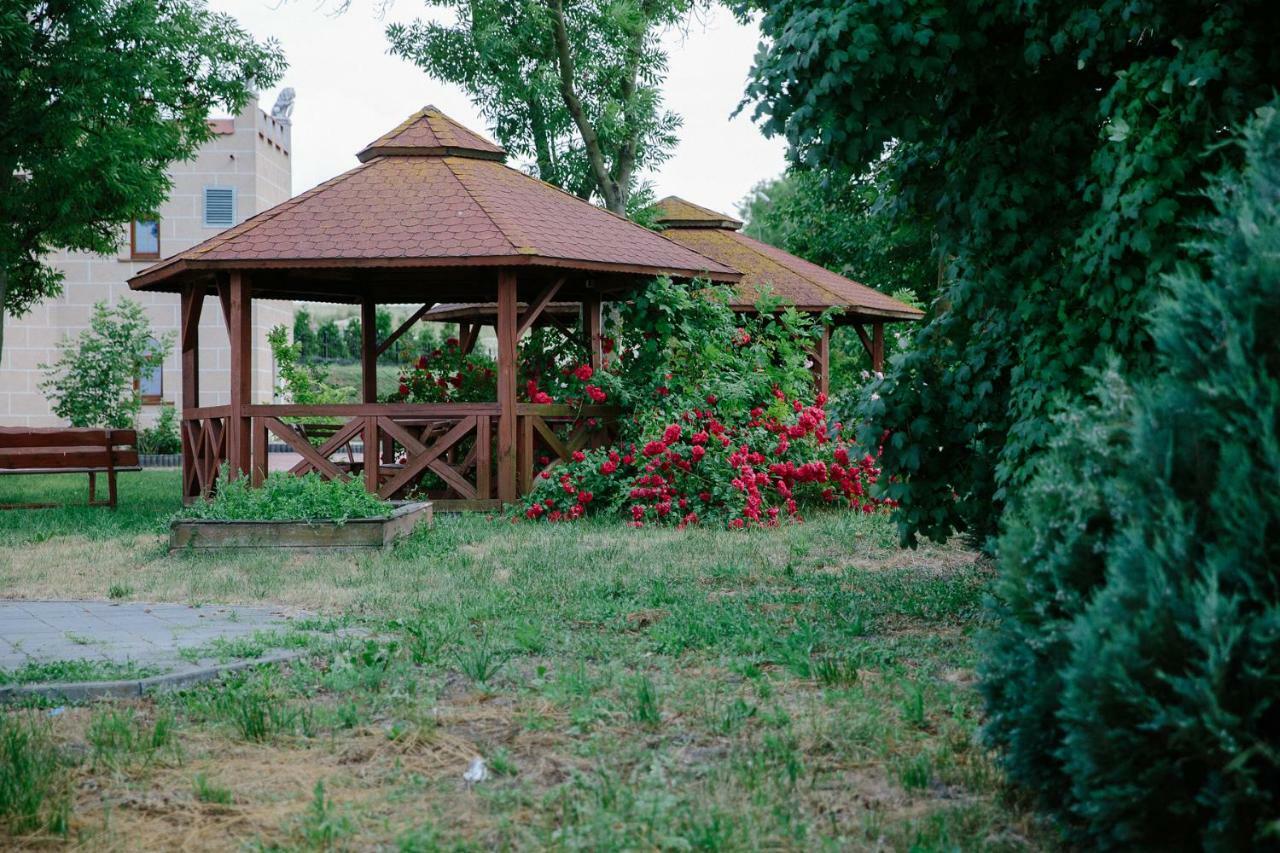 Palac Koronny Noclegi & Wypoczynek Wodzislaw Экстерьер фото